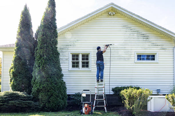 Best Solar Panel Cleaning  in Horton, KS